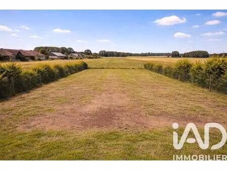 vente terrain à criquetot-sur-ouville (76760) : à vendre / 1163m² criquetot-sur-ouville