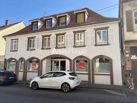 vente local d’activités hochfelden 67270 494m²