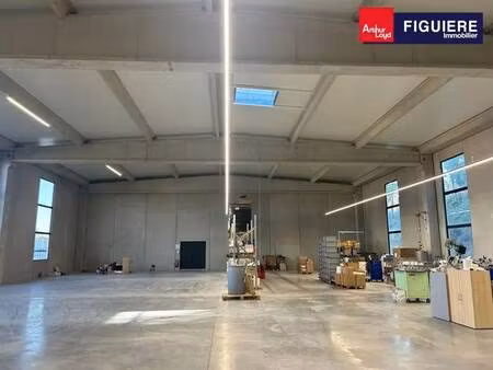 vente local d’activités saint esteve janson 13610 1139m²