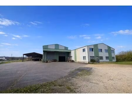 vente local d’activités varennes changy 45290 1720m²