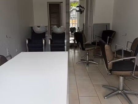 location commerce paris 75015 30m²