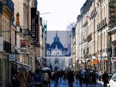 location commerce rennes 35000 113m²