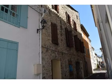 maison de centre avec 3 appartements