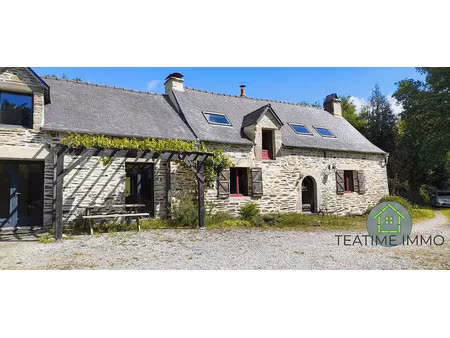 vente maison 6 pièces 175 m² à saint-aignan (56480)  345 000 €