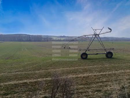 terrain agricole