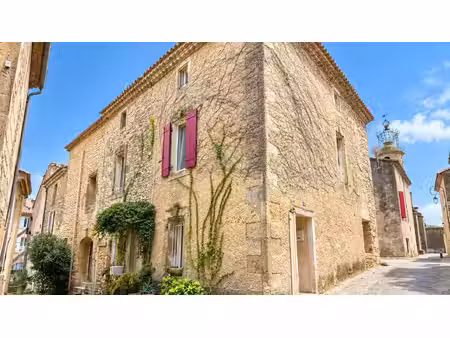 spécial investissement : charmante maison de village avec terrasses et deux appartements l