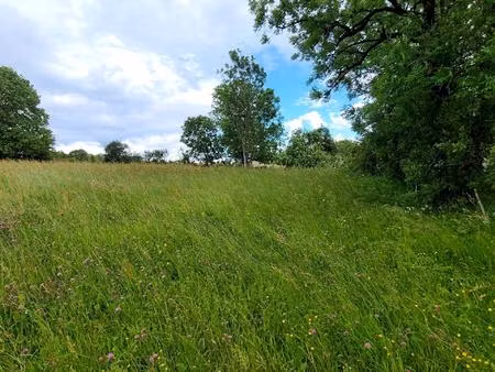 terrain