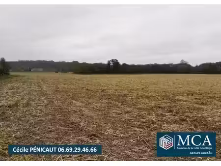 vente terrain 772 m² mimbaste (40350)