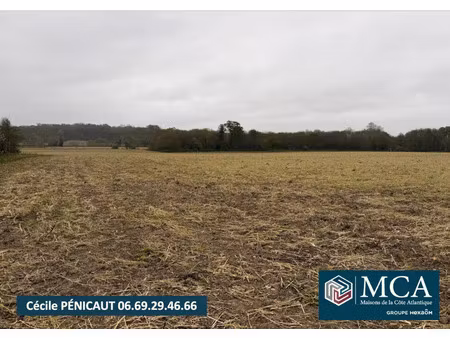 vente terrain 837 m² mimbaste (40350)