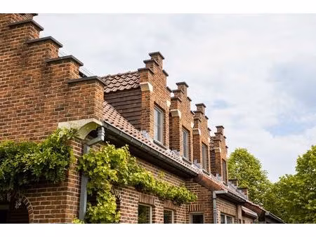 commercieel te koop in denderleeuw