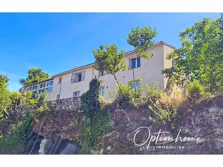 vente maison 9 pièces 223 m² dondas (47470)