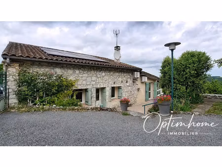 vente maison 9 pièces 223 m² dondas (47470)