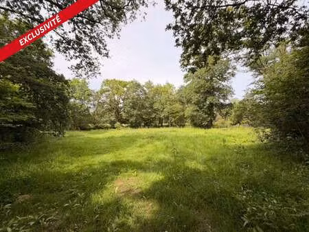 vente terrain à malestroit (56140) : à vendre / 18380m² malestroit