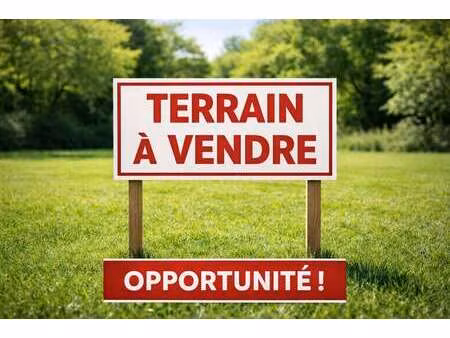 vente terrain à feneu (49460) : à vendre / 376m² feneu