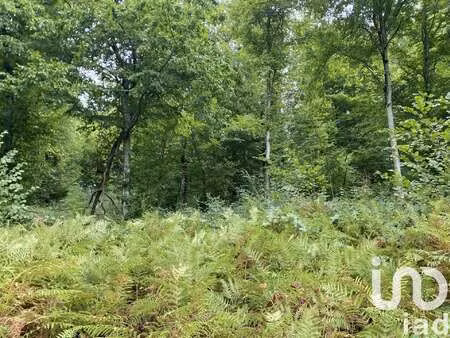vente terrain à bonnefont (65220) : à vendre / 10388m² bonnefont