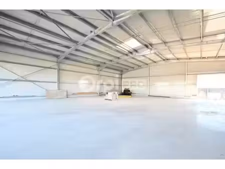 location local d’activités 300m²