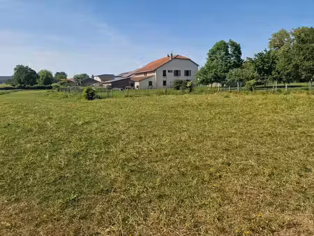 propriété à vendre 8 pièces proche nancy (54) sur 1 8 hectare - propriété agricole avec fe