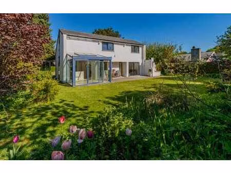 maison rénovée avec style et grand jardin ensoleillé