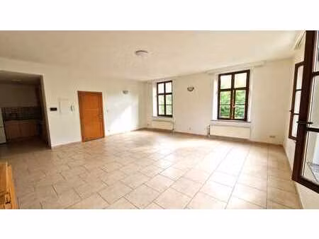 spacieux appartement 1 chambre à louer