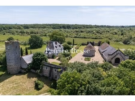 à quelques minutes de tours  dans un domaine de de 35 ha  un prieuré avec sa grange...
