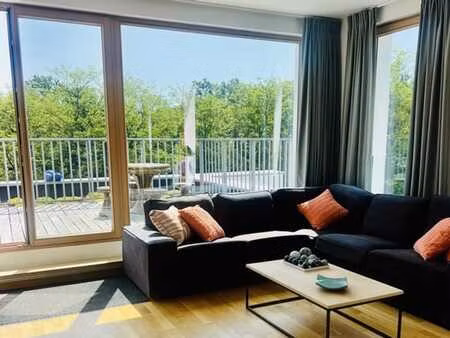magnifique penthouse 2 chambres + terrasses