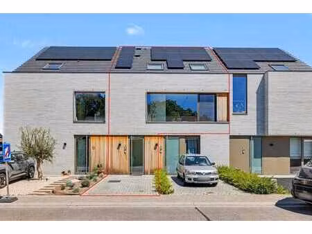 duplex/triplex