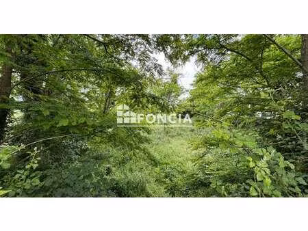vente terrain à cholet (49300) : à vendre / cholet