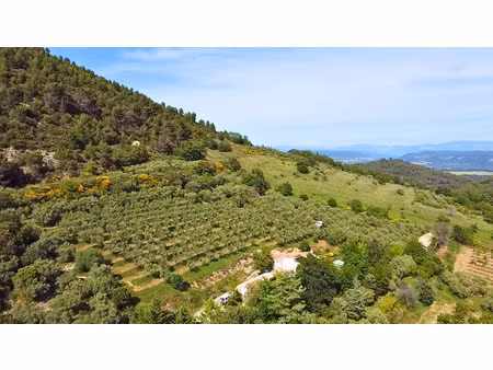 propriété avec vue panoramique et 800 oliviers en production