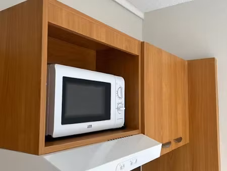 location meublée appartement 1 pièce 18 m² à clamart (92140)  780 €