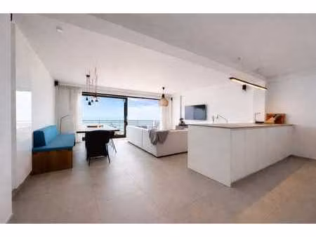 appartement spacieux et luxueusement rénové sur la digue à