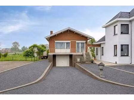 vente - maison riemst - 349 000 €