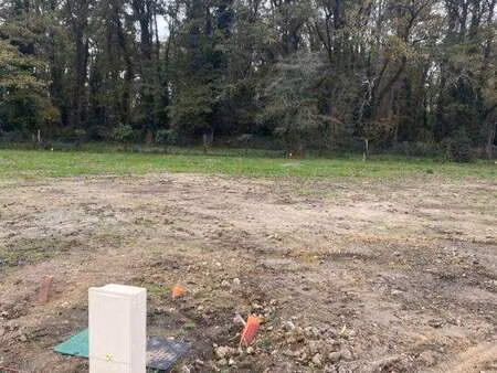 vente terrain à basse-goulaine (44115) : à vendre / 550m² basse-goulaine
