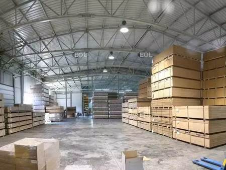 vente local d’activités collegien 77090 900m²