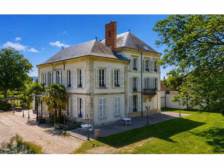 maison val-de-vesle 615 m² t-12 à vendre  1 850 000 €