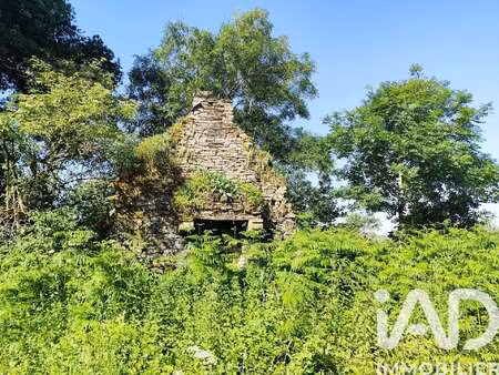vente terrain à allaire (56350) : à vendre / 13760m² allaire