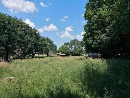 vente terrain à loyat (56800) : à vendre / 2000m² loyat