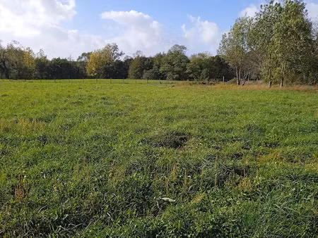 vente terrain 996 m² à saint-ciers-sur-gironde (33820)  44 000 €