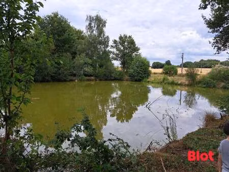 vente maison à la dominelais (35390) : à vendre / 120m² la dominelais