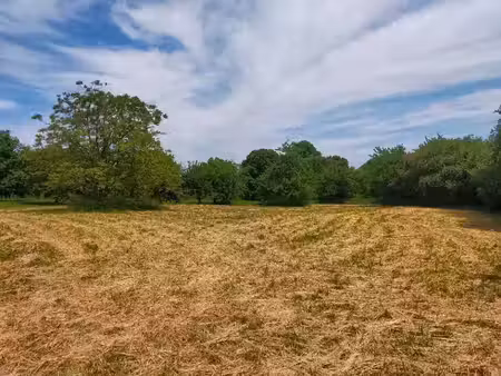 vente terrain 800 m² à sireuil (16440)  44 000 €