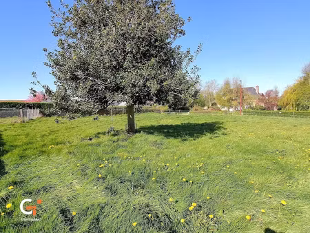vente terrain 800 m² à petit-caux (76370)  65 000 €