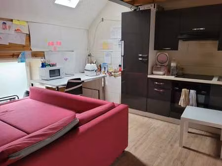 appartement 1ch  45 m²  style loft  lumineux
