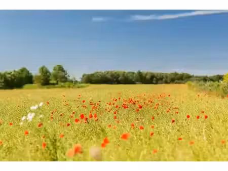 vente terrain 1000 m² à le verdon-sur-mer (33123)  95 000 €
