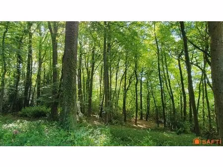 terrain à bâtir au coeur d'une forêt - domaine sécurisé