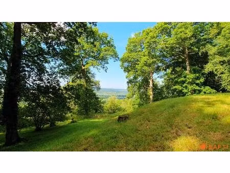 terrain à bâtir au coeur d'une forêt - domaine sécurisé