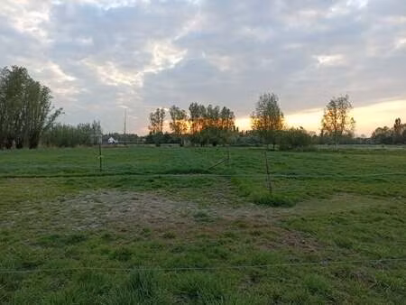 terrain à vendre à sint-gillis-waas € 129.000 (loqum) - | zimmo