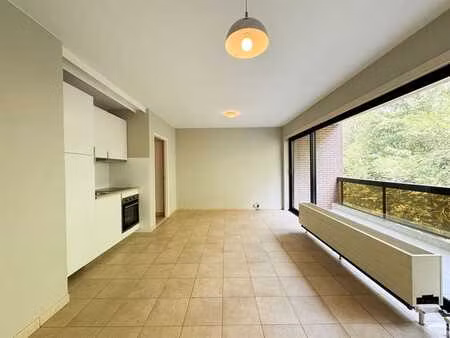 beau studio avec grande terrasse