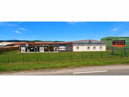 location locaux professionnels 554 m² à saint-paulien (43350)  2 760 €
