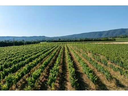 majestueux mas avec vignoble et vue panoramique  au coeur du luberon.