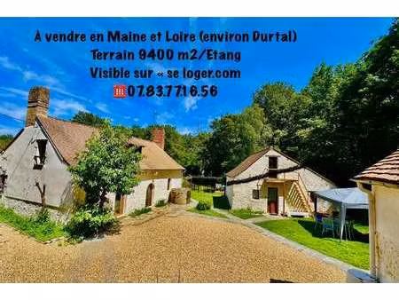 vente demeure d'exception à montigné-lès-rairies (49430) : à vendre / 112m² montigné-lès-r