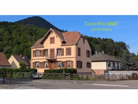 pour investisseur : immeuble 2 appartements en location + 6 garages